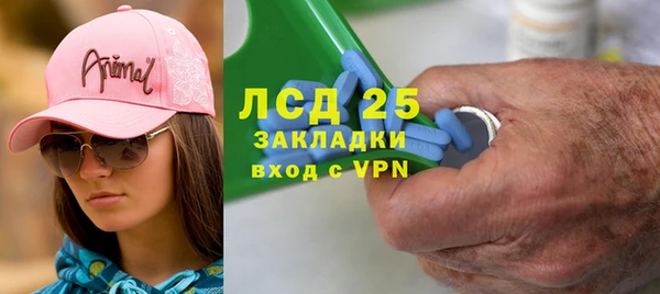 ПСИЛОЦИБИНОВЫЕ ГРИБЫ Алексин