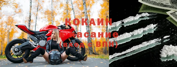 соль ск Алзамай