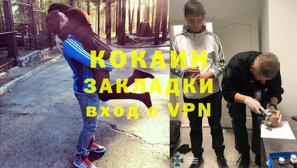 ПСИЛОЦИБИНОВЫЕ ГРИБЫ Алексин