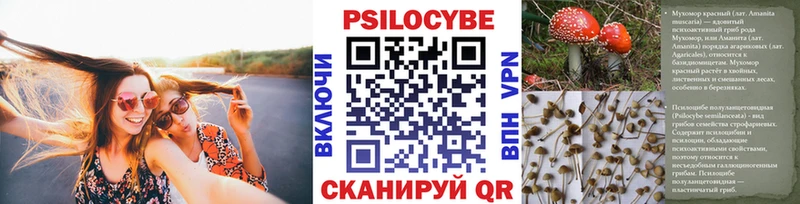 сайты даркнета состав гидра зеркало Балашов купить Псилоцибиновые грибы Psilocybe