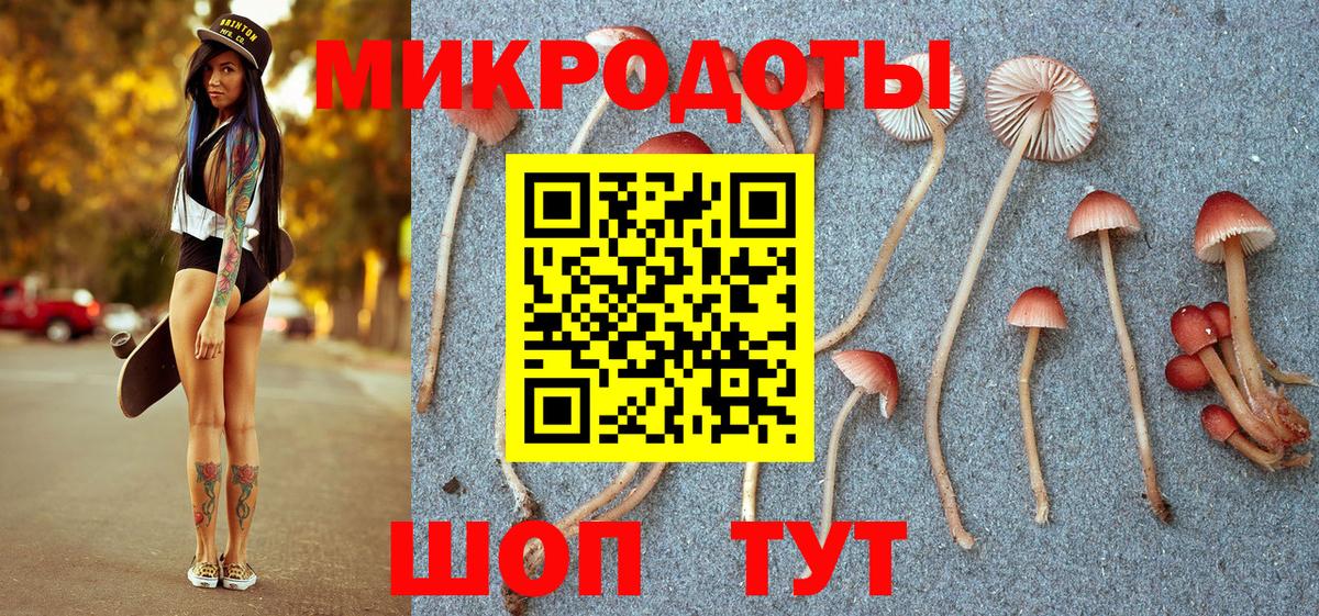 Псилоцибиновые грибы Cubensis  Вход с VPN  Балашов  Галлюциногенные грибы MAGIC MUSHROOMS 